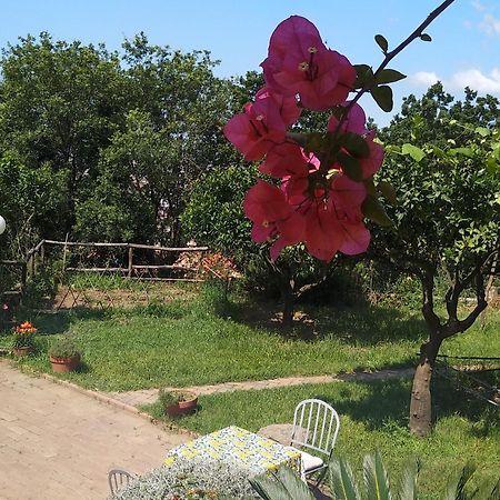 B&B Casa Gemma Ламеция-Терме Экстерьер фото