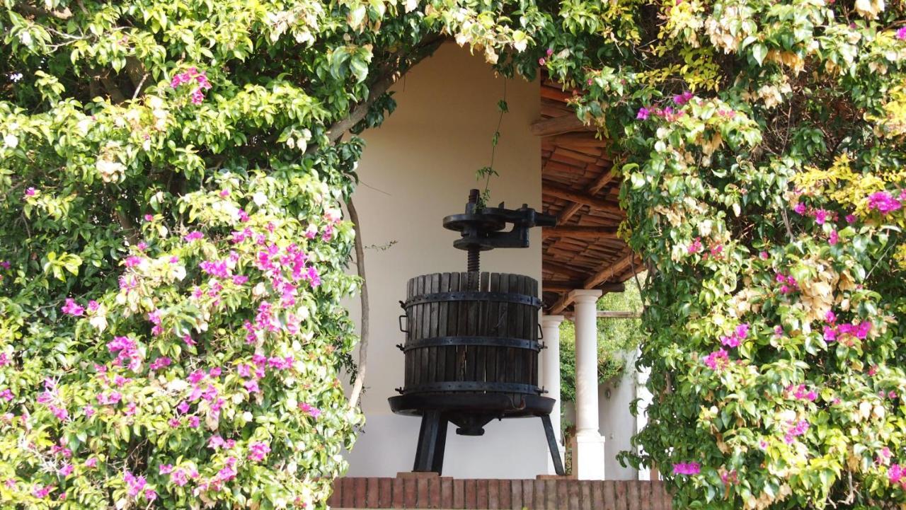 B&B Casa Gemma Ламеция-Терме Экстерьер фото