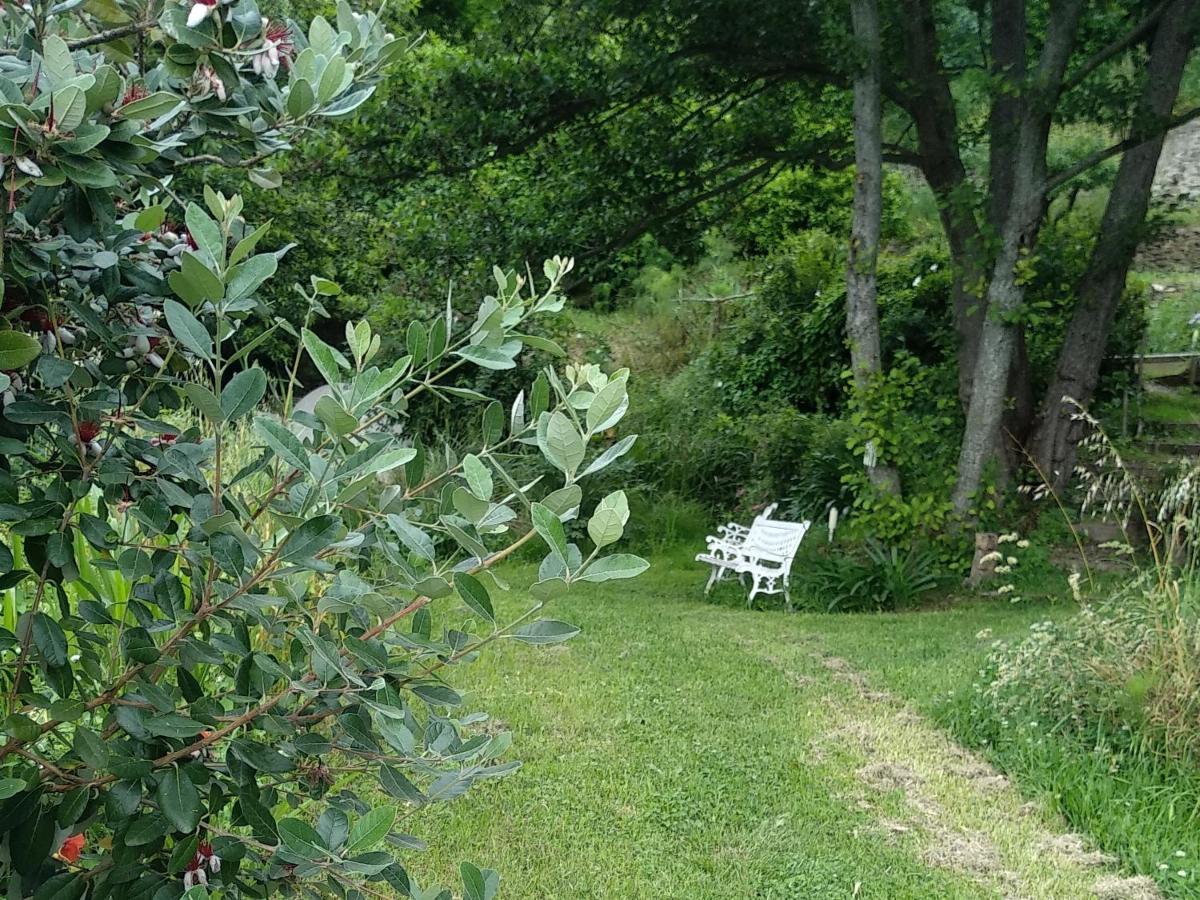 B&B Casa Gemma Ламеция-Терме Экстерьер фото