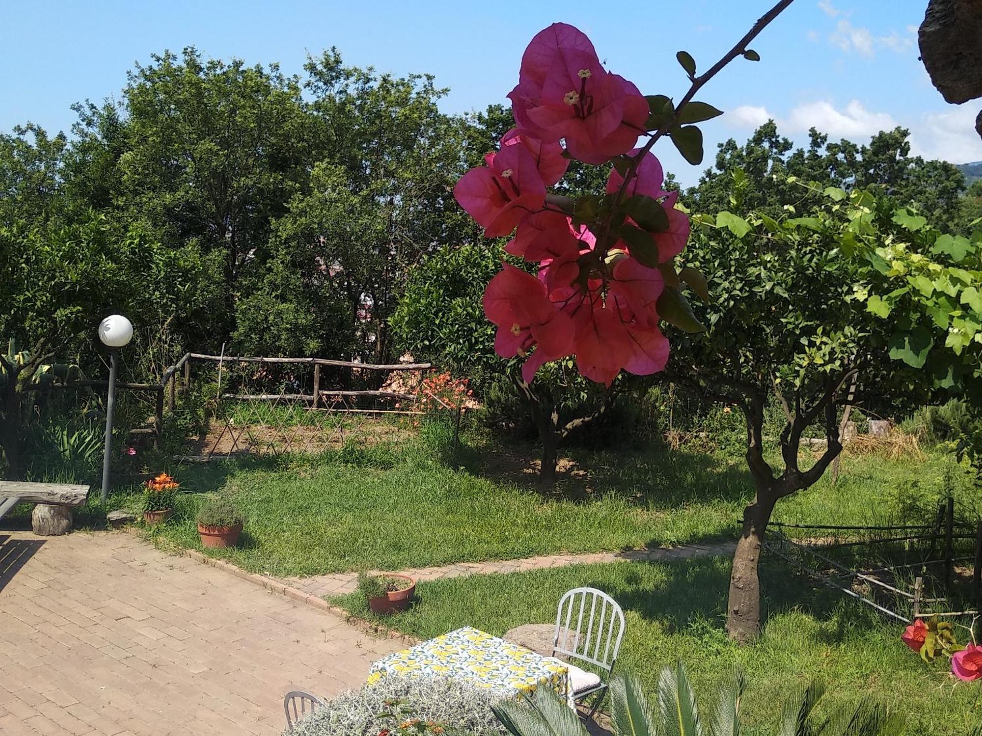 B&B Casa Gemma Ламеция-Терме Экстерьер фото